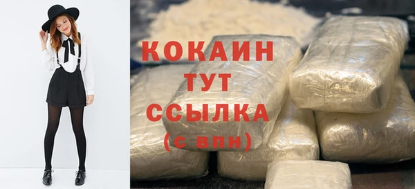PSILOCYBIN Аркадак