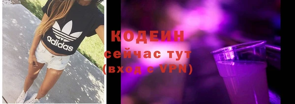 ALPHA PVP Инсар