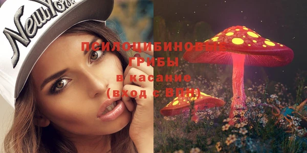 Альфа ПВП Баксан