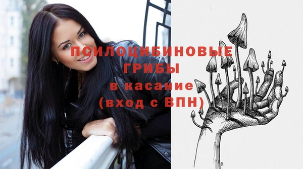 Альфа ПВП Баксан
