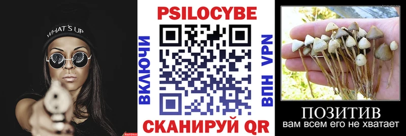 darknet Telegram  где можно купить   ОМГ ОМГ ССЫЛКА  Петухово  Псилоцибиновые грибы MAGIC MUSHROOMS 